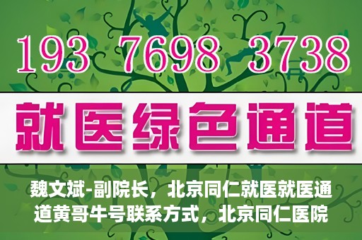 魏文斌-副院长，北京同仁就医就医通道黄哥牛号联系方式，北京同仁医院副院长魏文斌与就医通道，黄哥牛号联系方式揭秘