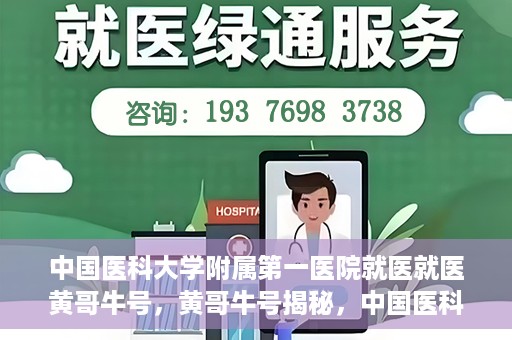 中国医科大学附属第一医院就医就医黄哥牛号，黄哥牛号揭秘，中国医科大学附属第一医院就医攻略与体验分享