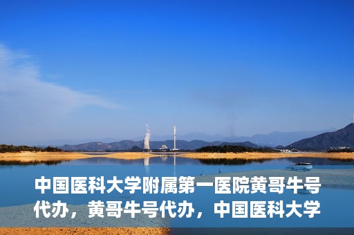 中国医科大学附属第一医院黄哥牛号代办，黄哥牛号代办，中国医科大学附属第一医院挂号服务新动向