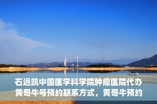 石远凯中国医学科学院肿瘤医院代办黄哥牛号预约联系方式，黄哥牛预约挂号联系方式，石远凯教授在中国医学科学院肿瘤医院的服务指南