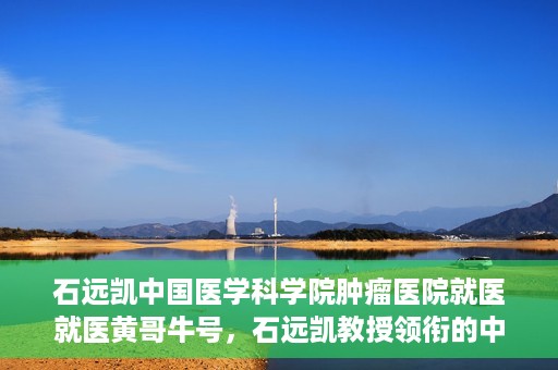 石远凯中国医学科学院肿瘤医院就医就医黄哥牛号，石远凯教授领衔的中国医学科学院肿瘤医院就医攻略，黄哥牛号助您轻松挂号就医