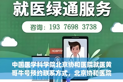 中国医学科学院北京协和医院就医黄哥牛号预约联系方式，北京协和医院黄哥牛号预约挂号联系方式揭秘，权威医学专家预约攻略