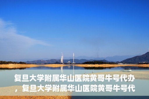 复旦大学附属华山医院黄哥牛号代办，复旦大学附属华山医院黄哥牛号代办，就医无忧，专业代办服务助您轻松就医体验