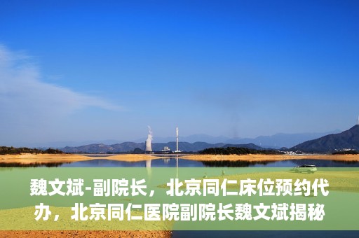 魏文斌-副院长，北京同仁床位预约代办，北京同仁医院副院长魏文斌揭秘床位预约代办内幕