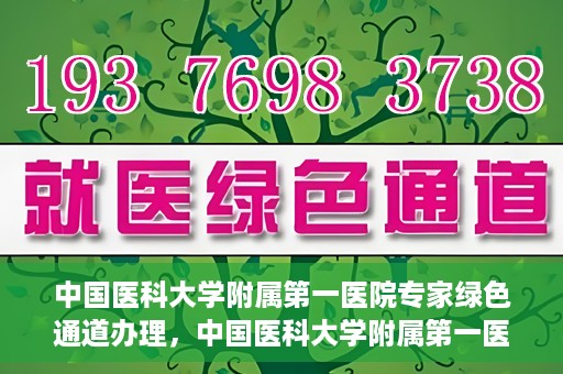 中国医科大学附属第一医院专家绿色通道办理，中国医科大学附属第一医院专家绿色通道办理详解，一站式服务助力高效就医体验