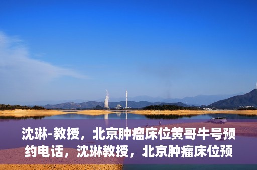 沈琳-教授，北京肿瘤床位黄哥牛号预约电话，沈琳教授，北京肿瘤床位预约热线及黄哥牛号攻略揭秘
