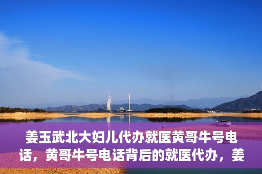 姜玉武北大妇儿代办就医黄哥牛号电话，黄哥牛号电话背后的就医代办，姜玉武与北大妇儿的医疗故事