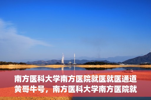 南方医科大学南方医院就医就医通道黄哥牛号，南方医科大学南方医院就医通道解析，黄哥牛号的就医之旅