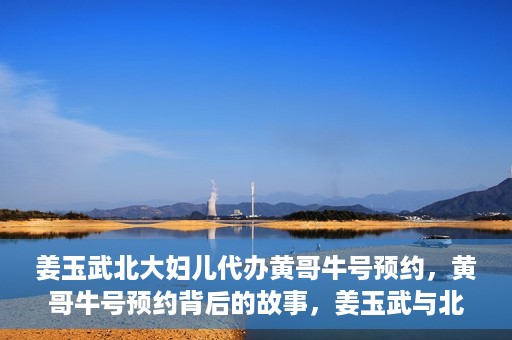 姜玉武北大妇儿代办黄哥牛号预约，黄哥牛号预约背后的故事，姜玉武与北大妇儿的医疗接力