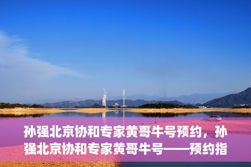 孙强北京协和专家黄哥牛号预约，孙强北京协和专家黄哥牛号——预约指南