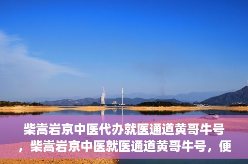 柴嵩岩京中医代办就医通道黄哥牛号，柴嵩岩京中医就医通道黄哥牛号，便捷就医新选择