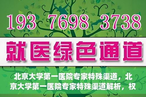 北京大学第一医院专家特殊渠道，北京大学第一医院专家特殊渠道解析，权威医疗资源的独特路径探索