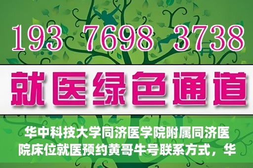 华中科技大学同济医学院附属同济医院床位就医预约黄哥牛号联系方式，华中科技大学同济医院床位预约联系方式及黄哥牛号揭秘
