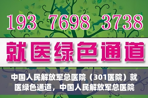 中国人民解放军总医院（301医院）就医绿色通道，中国人民解放军总医院就医绿色通道，高效便捷的医疗服务体验