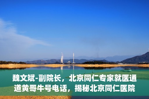 魏文斌-副院长，北京同仁专家就医通道黄哥牛号电话，揭秘北京同仁医院专家就医通道，魏文斌副院长与黄哥牛号电话背后的故事