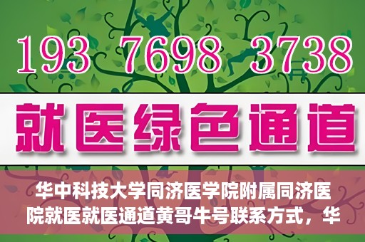 华中科技大学同济医学院附属同济医院就医就医通道黄哥牛号联系方式，华中科技大学同济医院就医通道详解，黄哥牛号联系方式揭秘