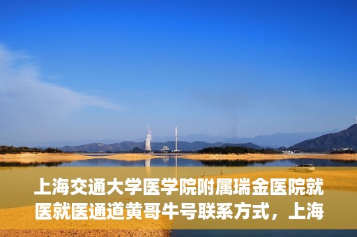 上海交通大学医学院附属瑞金医院就医就医通道黄哥牛号联系方式，上海交通大学医学院附属瑞金医院就医通道详解，黄哥牛号联系方式揭秘
