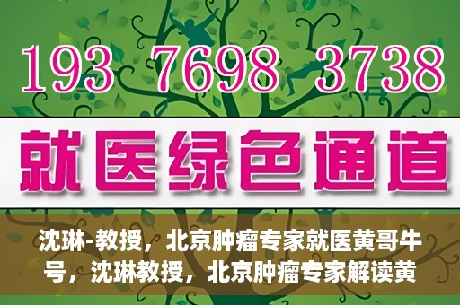 沈琳-教授，北京肿瘤专家就医黄哥牛号，沈琳教授，北京肿瘤专家解读黄哥牛号就医秘籍