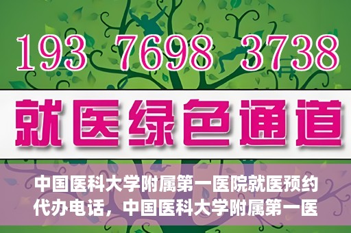 中国医科大学附属第一医院就医预约代办电话，中国医科大学附属第一医院就医预约代办服务热线详解