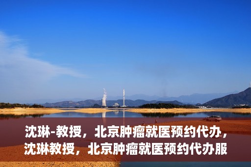 沈琳-教授，北京肿瘤就医预约代办，沈琳教授，北京肿瘤就医预约代办服务详解