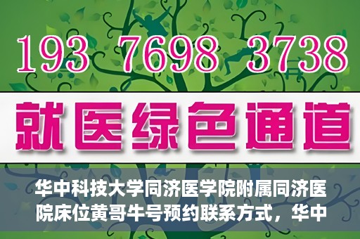 华中科技大学同济医学院附属同济医院床位黄哥牛号预约联系方式，华中科技大学同济医院床位预约联系方式及黄哥牛号预约攻略