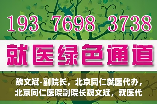魏文斌-副院长，北京同仁就医代办，北京同仁医院副院长魏文斌，就医代办的专业解读与实践