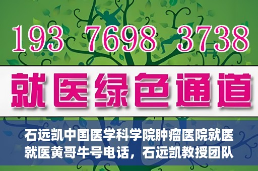 石远凯中国医学科学院肿瘤医院就医就医黄哥牛号电话，石远凯教授团队就医攻略，黄哥牛号电话预约与肿瘤医院就医指南