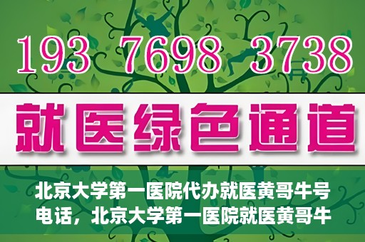 北京大学第一医院代办就医黄哥牛号电话，北京大学第一医院就医黄哥牛号代办服务电话揭秘