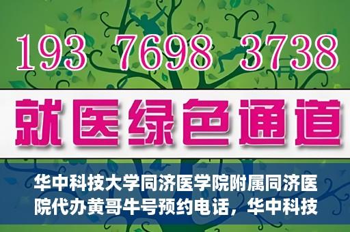 华中科技大学同济医学院附属同济医院代办黄哥牛号预约电话，华中科技大学同济医院黄哥牛号预约电话及代办服务解析