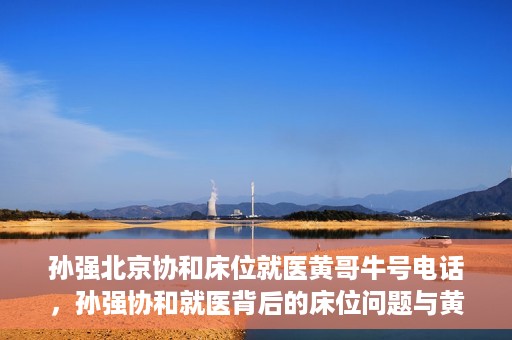 孙强北京协和床位就医黄哥牛号电话，孙强协和就医背后的床位问题与黄哥牛号电话揭秘