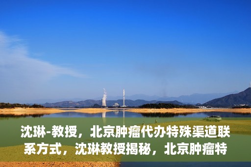 沈琳-教授，北京肿瘤代办特殊渠道联系方式，沈琳教授揭秘，北京肿瘤特殊渠道联系方式揭秘