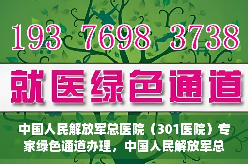 中国人民解放军总医院（301医院）专家绿色通道办理，中国人民解放军总医院（301医院）专家绿色通道办理详解与体验指南