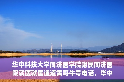 华中科技大学同济医学院附属同济医院就医就医通道黄哥牛号电话，华中科技大学同济医院就医通道详解，黄哥牛号电话一览无余