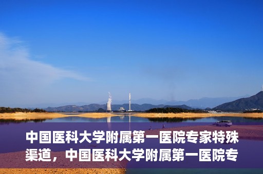 中国医科大学附属第一医院专家特殊渠道，中国医科大学附属第一医院专家特殊渠道揭秘，权威医疗资源的背后故事