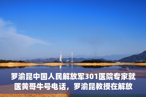 罗渝昆中国人民解放军301医院专家就医黄哥牛号电话，罗渝昆教授在解放军301医院的专业医疗与黄哥牛号电话揭秘
