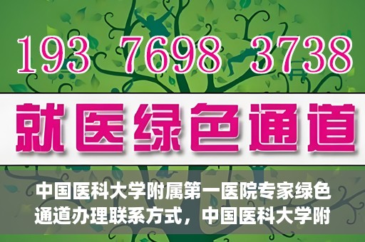 中国医科大学附属第一医院专家绿色通道办理联系方式，中国医科大学附属第一医院专家绿色通道联系指南，一站式解决您的健康需求！