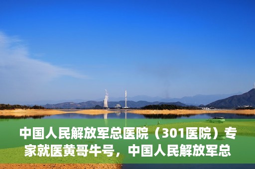 中国人民解放军总医院（301医院）专家就医黄哥牛号，中国人民解放军总医院（301医院）黄哥牛号专家就医解析