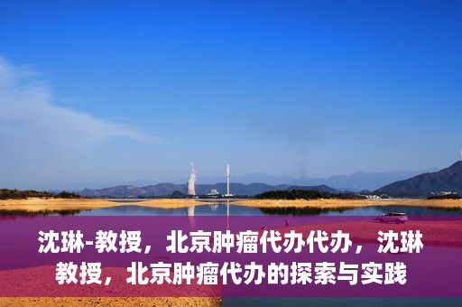 沈琳-教授，北京肿瘤代办代办，沈琳教授，北京肿瘤代办的探索与实践
