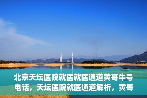 北京天坛医院就医就医通道黄哥牛号电话，天坛医院就医通道解析，黄哥牛号电话背后的就医故事