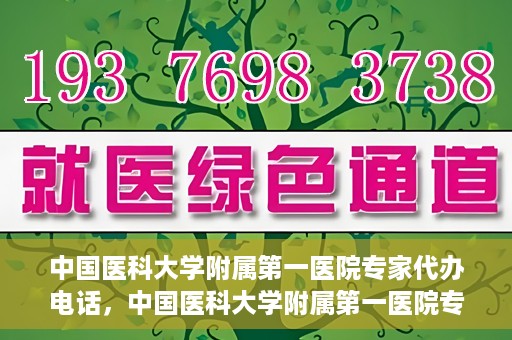 中国医科大学附属第一医院专家代办电话，中国医科大学附属第一医院专家电话代办服务详解