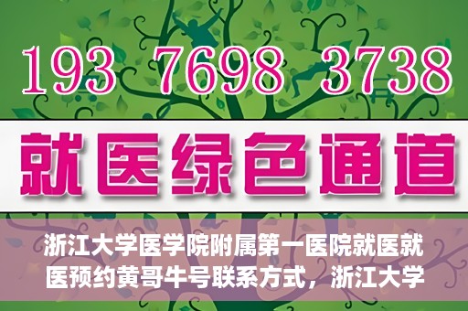 浙江大学医学院附属第一医院就医就医预约黄哥牛号联系方式，浙江大学医学院附属第一医院就医预约指南，黄哥牛号联系方式揭秘