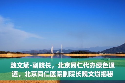 魏文斌-副院长，北京同仁代办绿色通道，北京同仁医院副院长魏文斌揭秘绿色通道代办服务