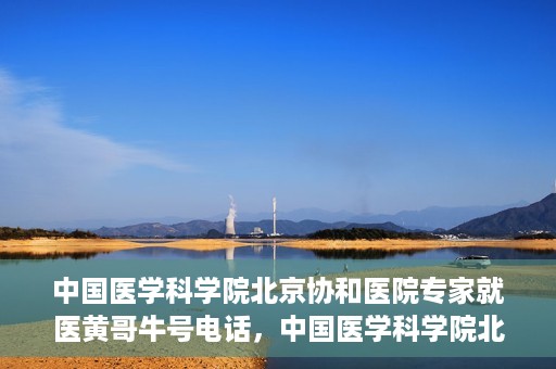 中国医学科学院北京协和医院专家就医黄哥牛号电话，中国医学科学院北京协和医院专家就医热线，黄哥牛号电话揭秘
