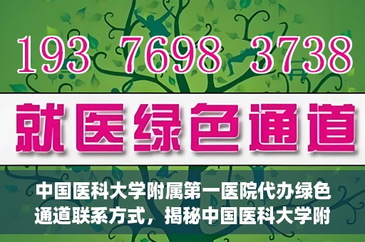 中国医科大学附属第一医院代办绿色通道联系方式，揭秘中国医科大学附属第一医院绿色通道代办联系方式，权威医疗资源的便捷通道！