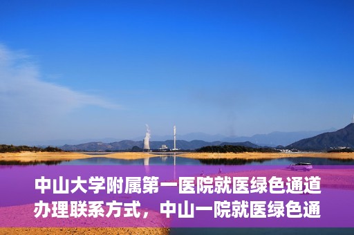中山大学附属第一医院就医绿色通道办理联系方式，中山一院就医绿色通道办理指南，快速获取联系方式与流程解析