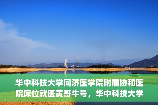 华中科技大学同济医学院附属协和医院床位就医黄哥牛号，华中科技大学同济医学院附属协和医院床位就医攻略，黄哥牛号助您轻松挂号就医
