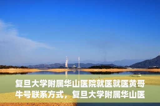 复旦大学附属华山医院就医就医黄哥牛号联系方式，复旦大学附属华山医院就医指南，黄哥牛号联系方式揭秘
