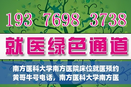 南方医科大学南方医院床位就医预约黄哥牛号电话，南方医科大学南方医院床位预约服务热线揭秘，黄哥牛号电话助您轻松就医