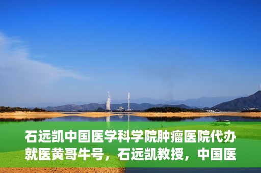 石远凯中国医学科学院肿瘤医院代办就医黄哥牛号，石远凯教授，中国医学科学院肿瘤医院就医攻略及黄哥牛号代办指南