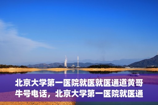 北京大学第一医院就医就医通道黄哥牛号电话，北京大学第一医院就医通道解析，黄哥牛号电话全解读